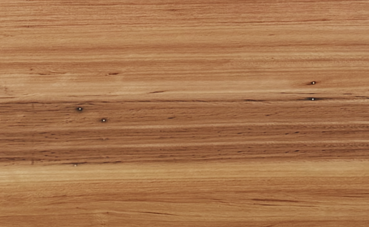 Blackbutt
